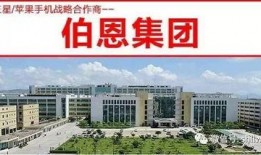 伯恩最新爆料,惊爆幕后的惊人真相